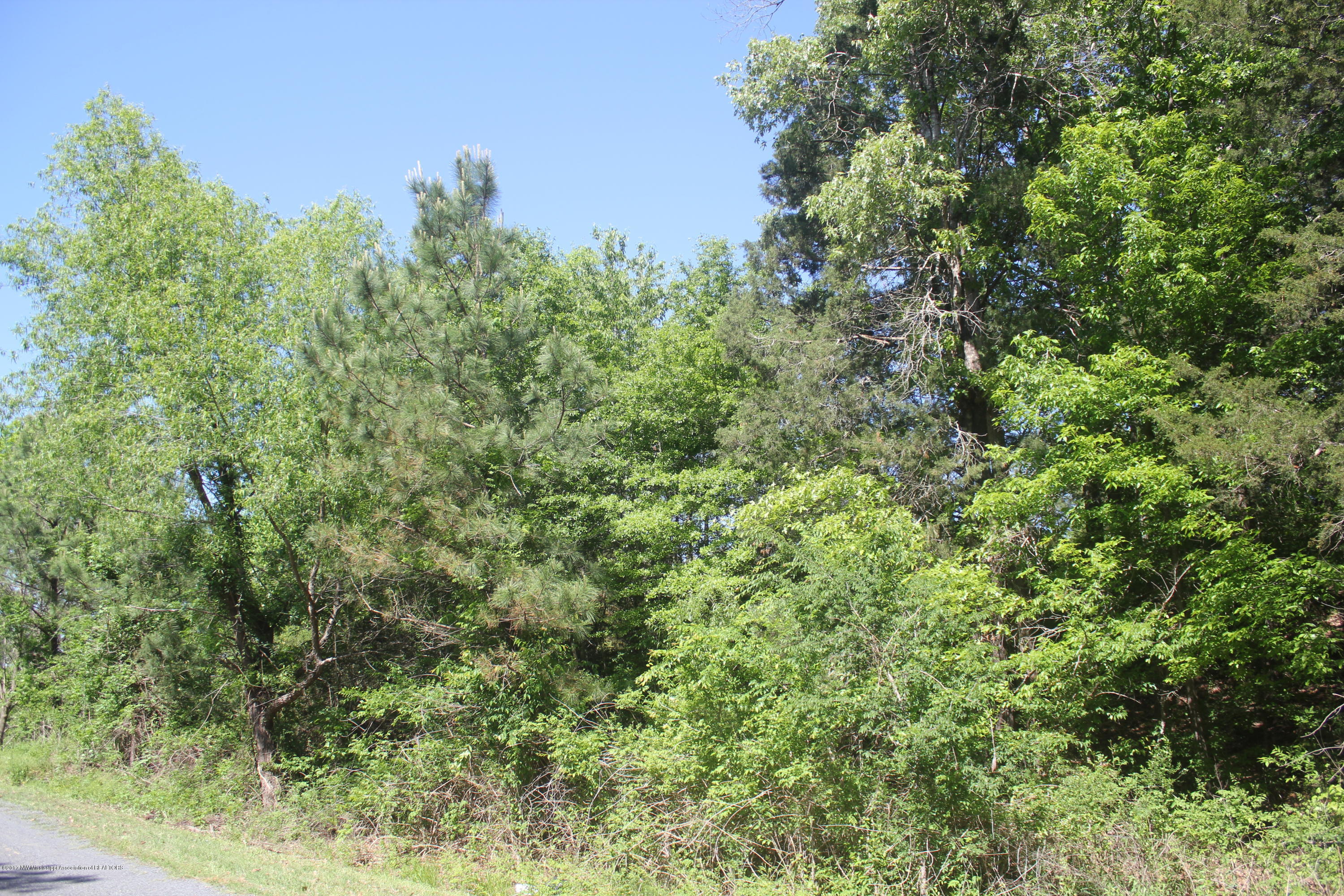 4 Barr Road Coldwater, MS 38618 - Photo 14 of 32 014