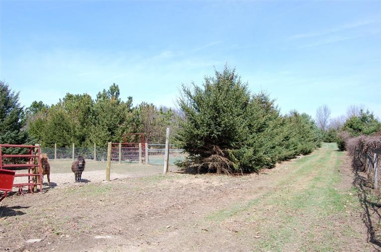 33 North Steinbach Road Dexter, MI 48130 - Photo 34 of 36 Photo 34