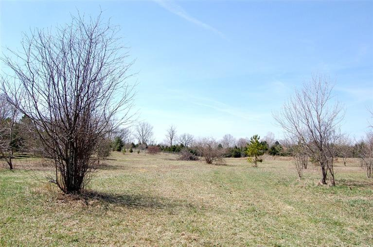 33 North Steinbach Road Dexter, MI 48130 - Photo 35 of 36 Photo 35