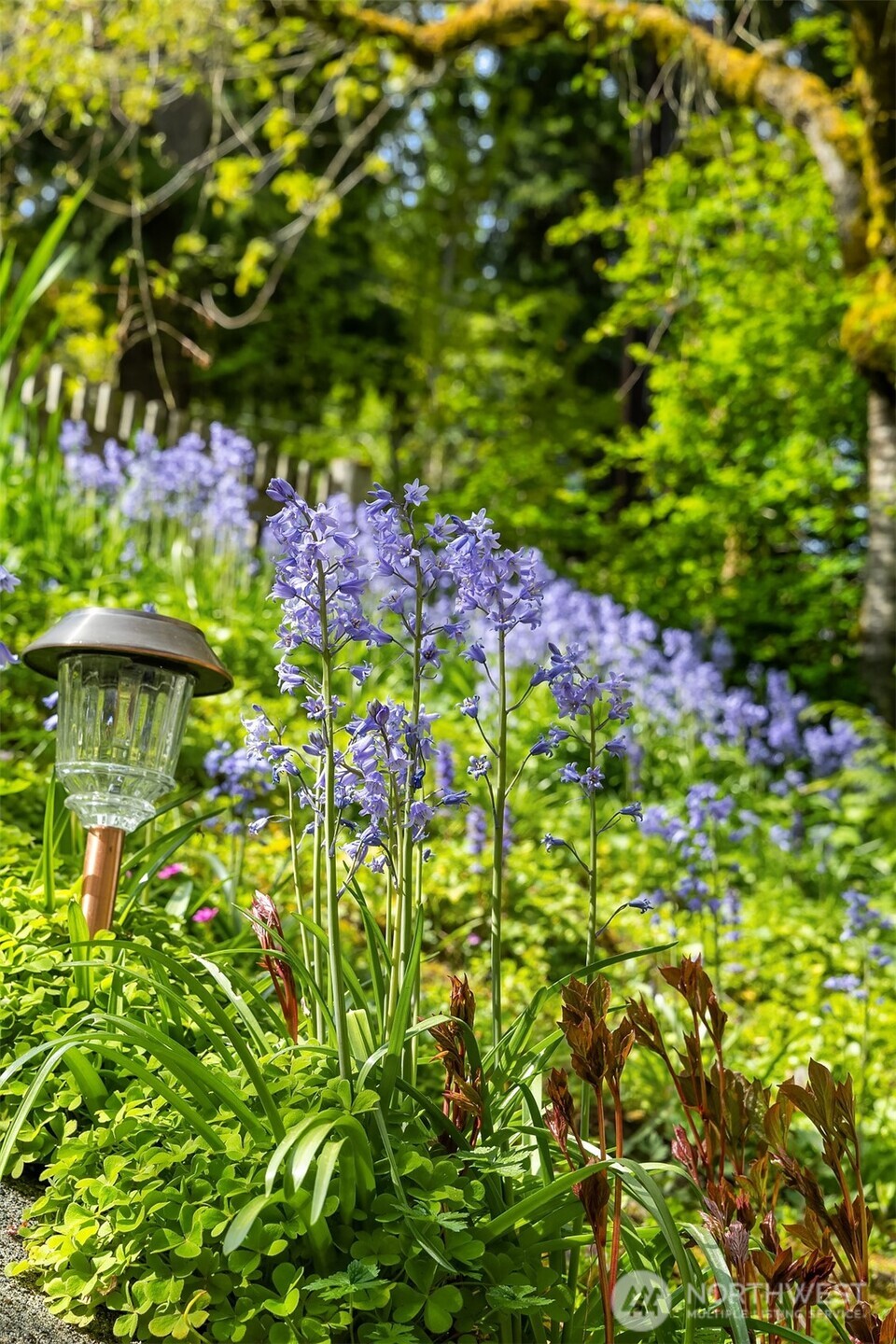 412 36th Avenue Seattle, WA 98122 - Photo 23 of 26
