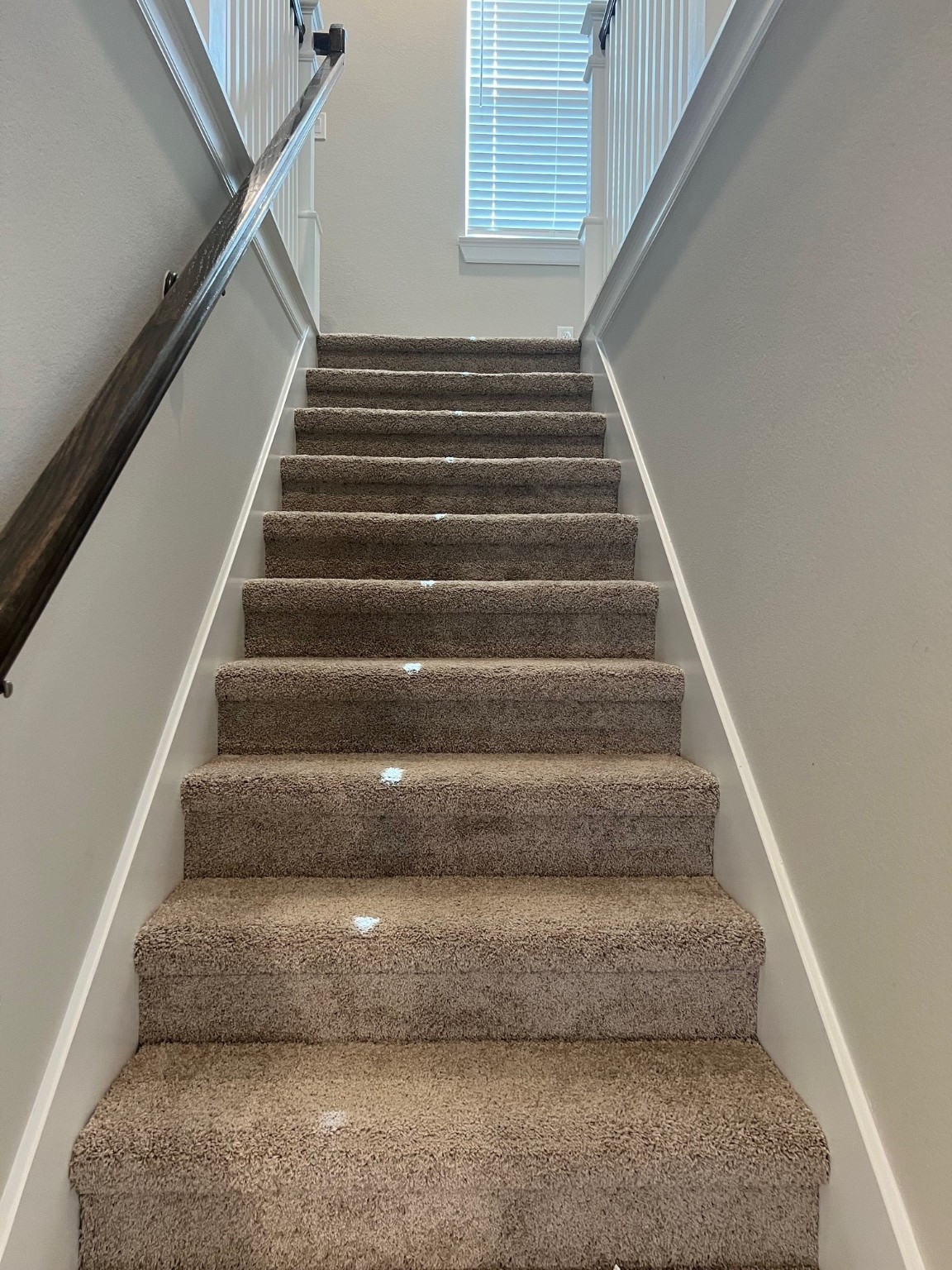 3316 Vine Ter Trace Houston, TX 77047 - Photo 3 of 18 a view of entryway