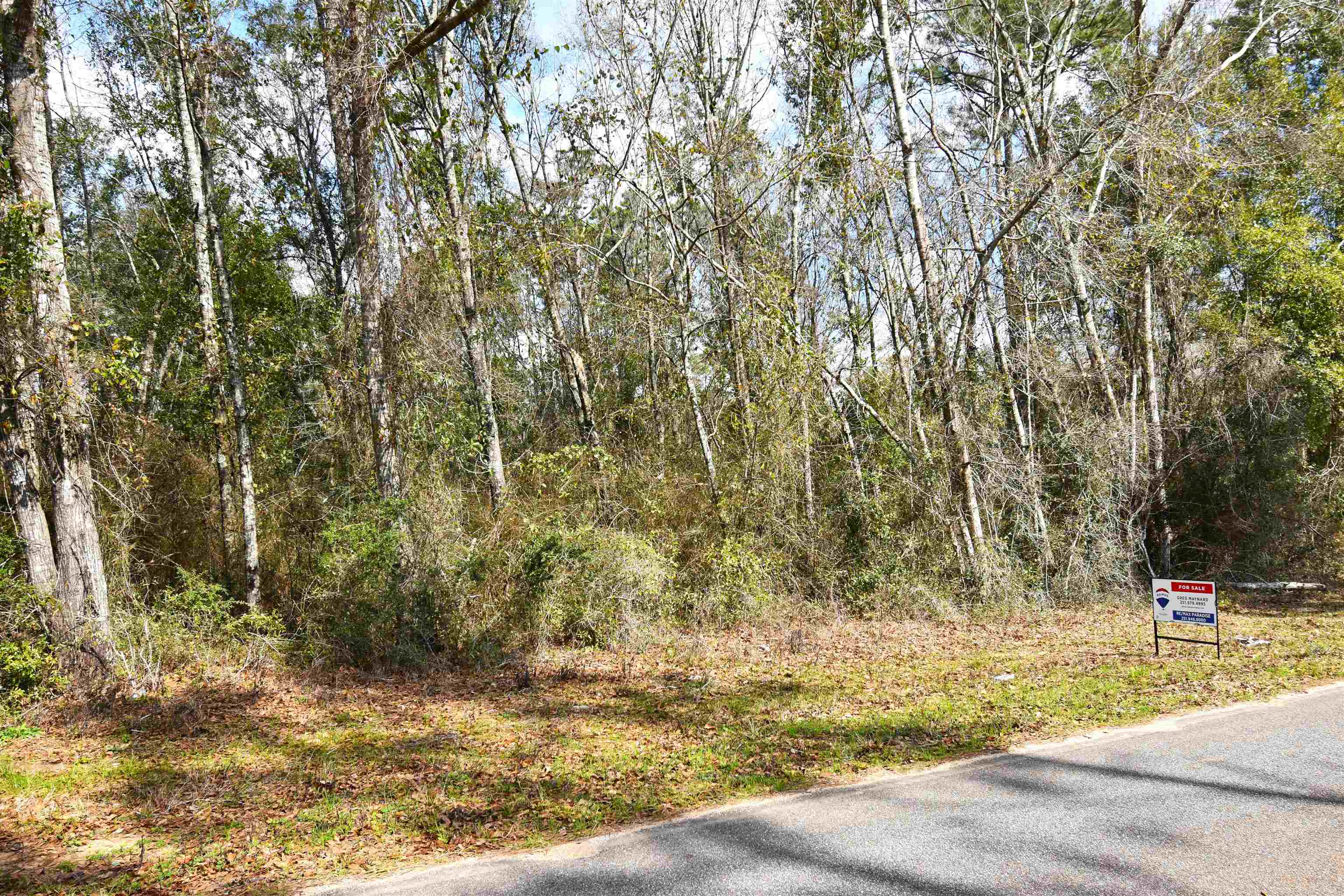 0 West Seminole Road West Seminole, AL 36574 - Photo 1 of 3