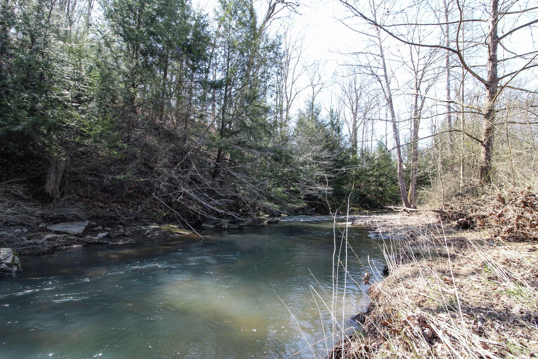39353 Walnut Camp Road Sardis, OH 43946 - Photo 29 of 42 29-IMG_8163