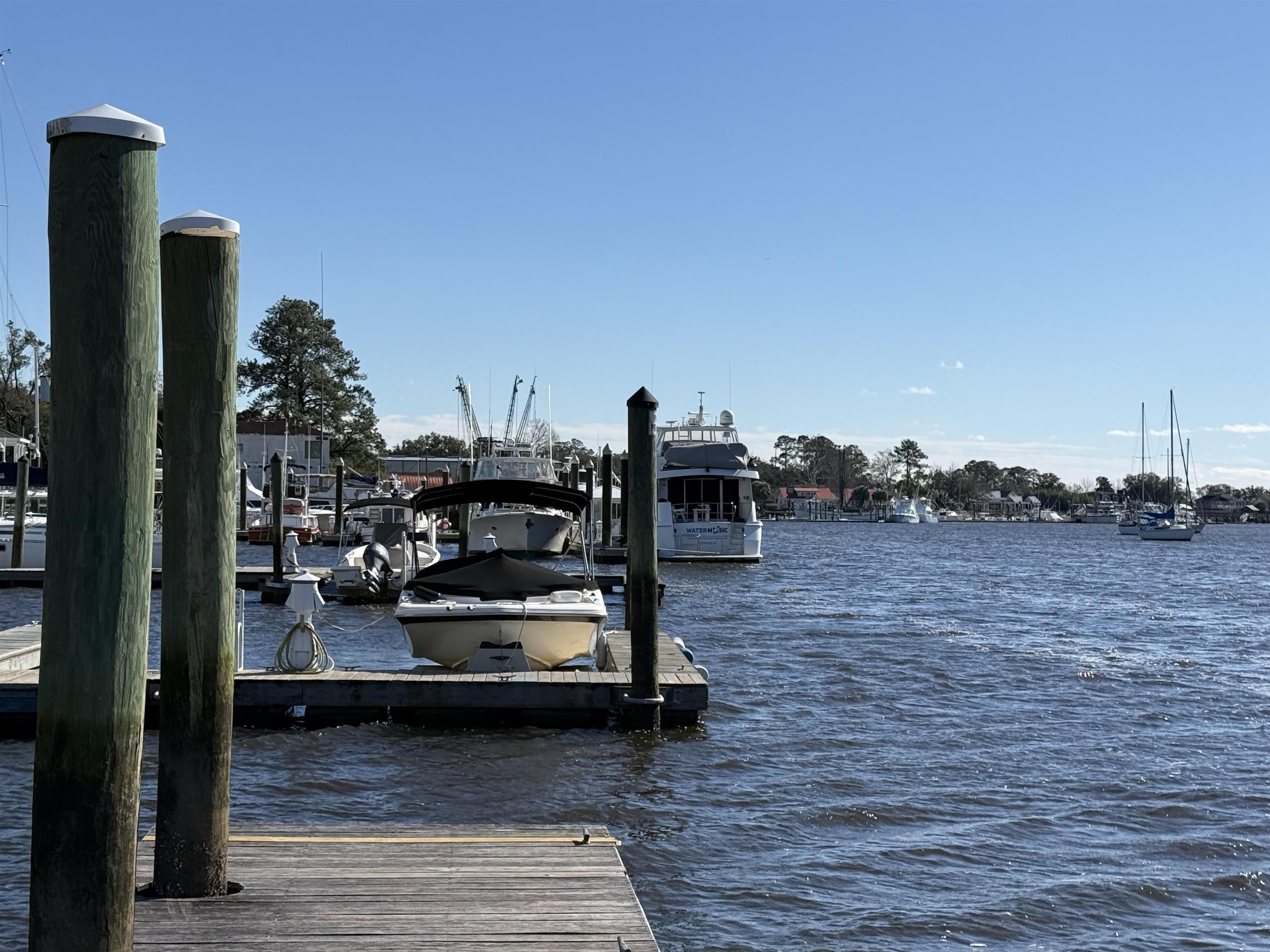 Lot 7 Cravens Grant Georgetown, SC 29440 - Photo 11 of 19