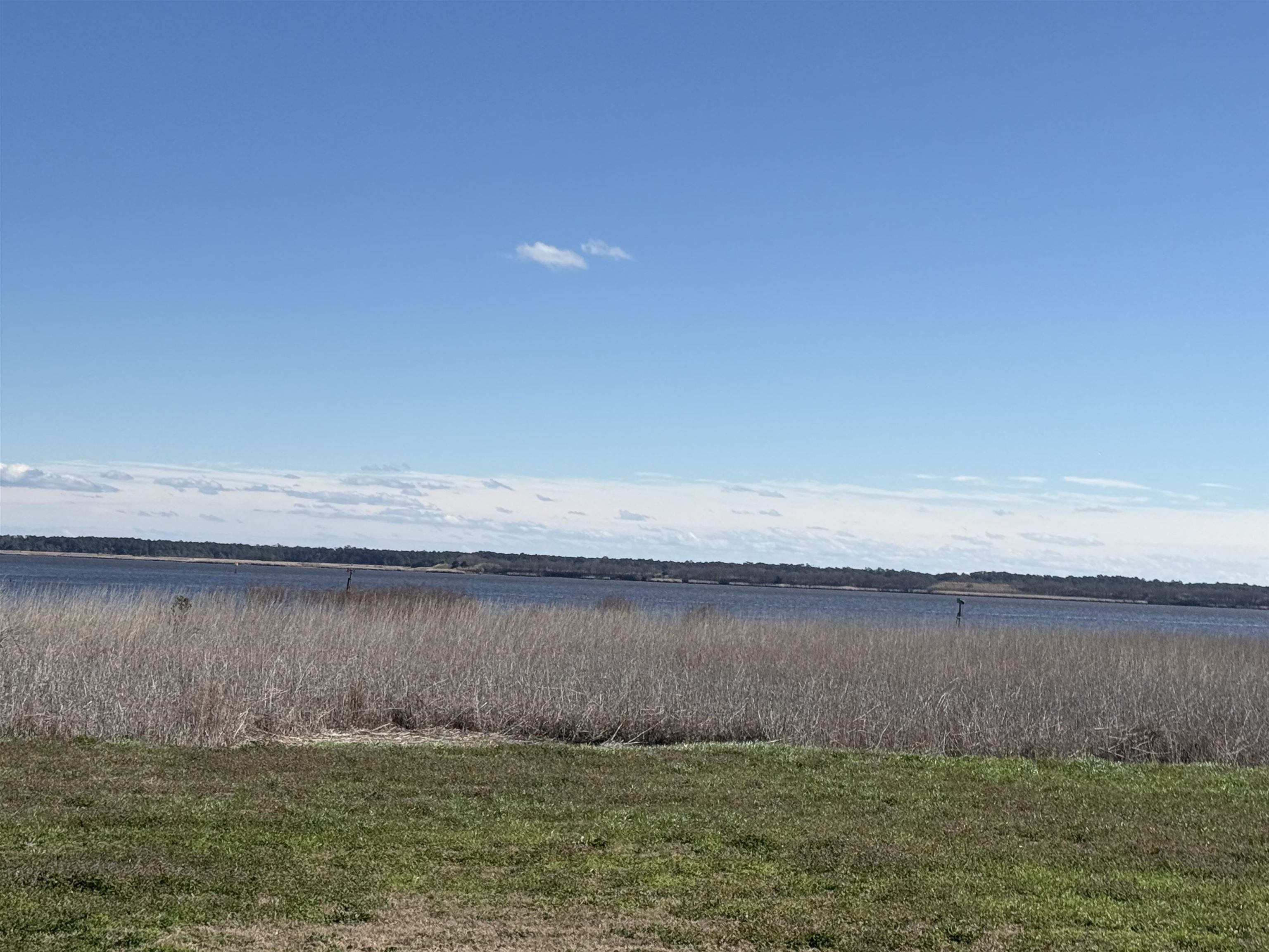 Lot 7 Cravens Grant Georgetown, SC 29440 - Photo 14 of 19