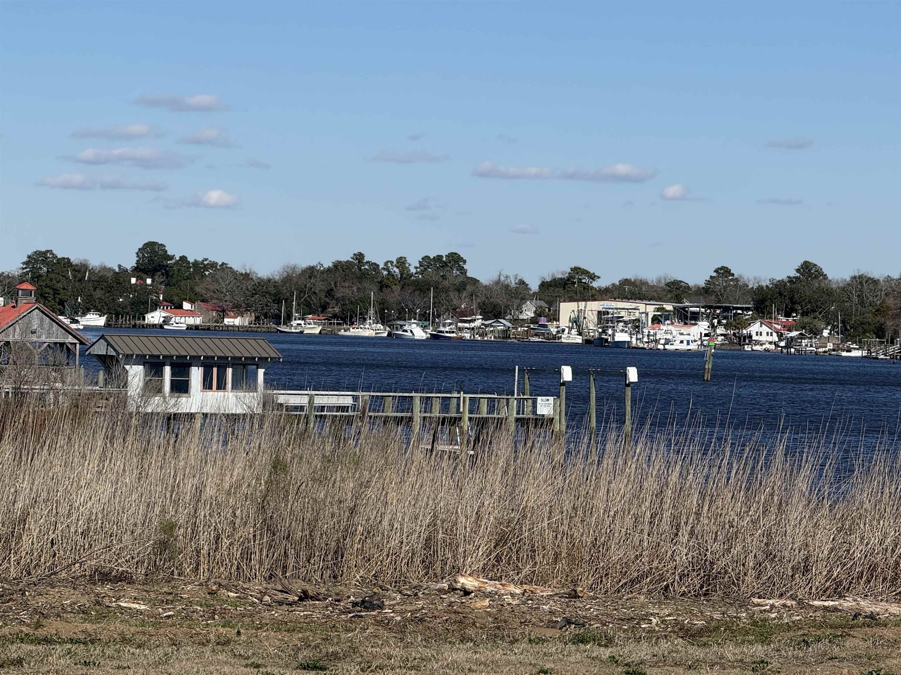 Lot 7 Cravens Grant Georgetown, SC 29440 - Photo 15 of 19 Water view