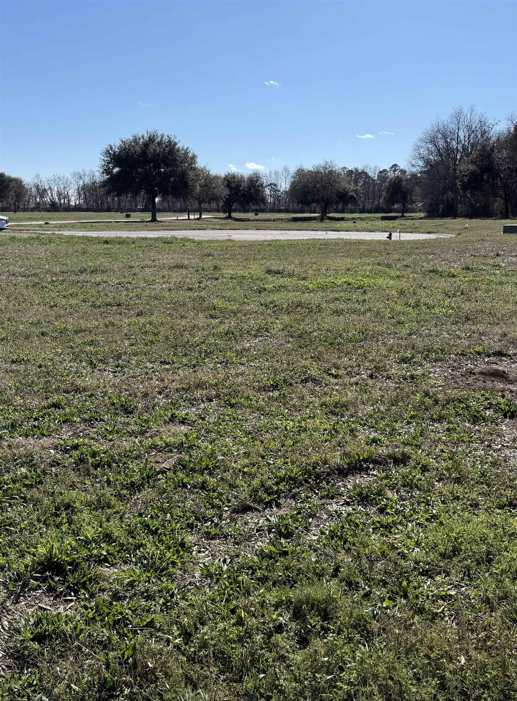 Lot 7 Cravens Grant Georgetown, SC 29440 - Photo 5 of 19