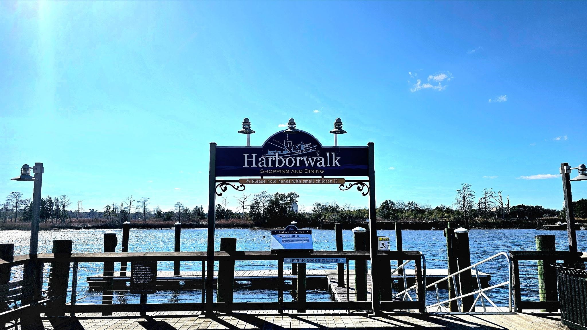 Lot 7 Cravens Grant Georgetown, SC 29440 - Photo 7 of 19