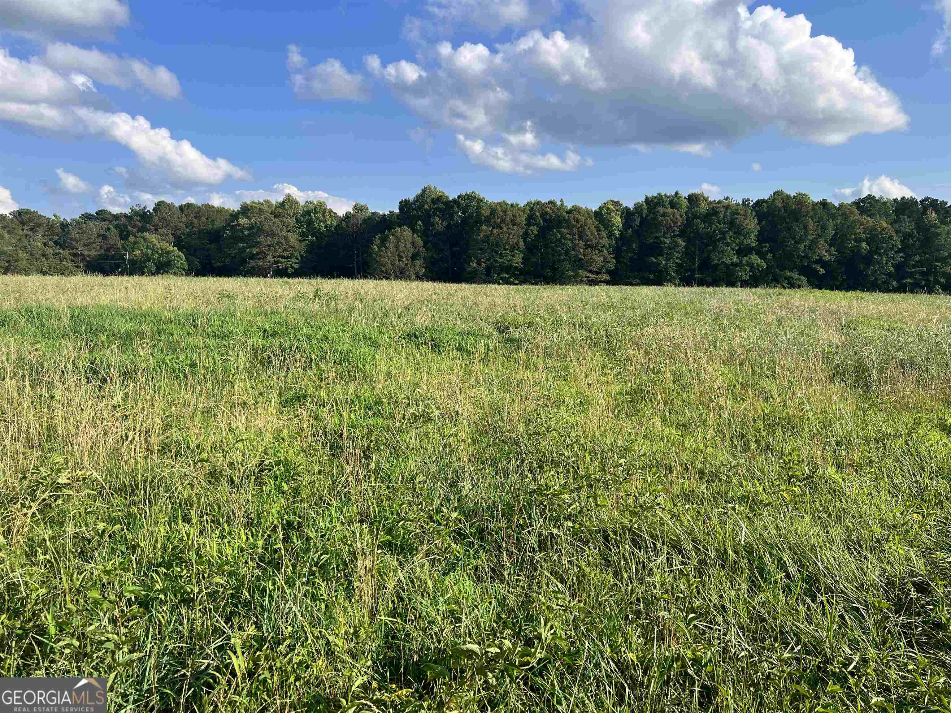 0 Lowell Road Carrollton, GA 30116 - Photo 2 of 5 a view of a garden