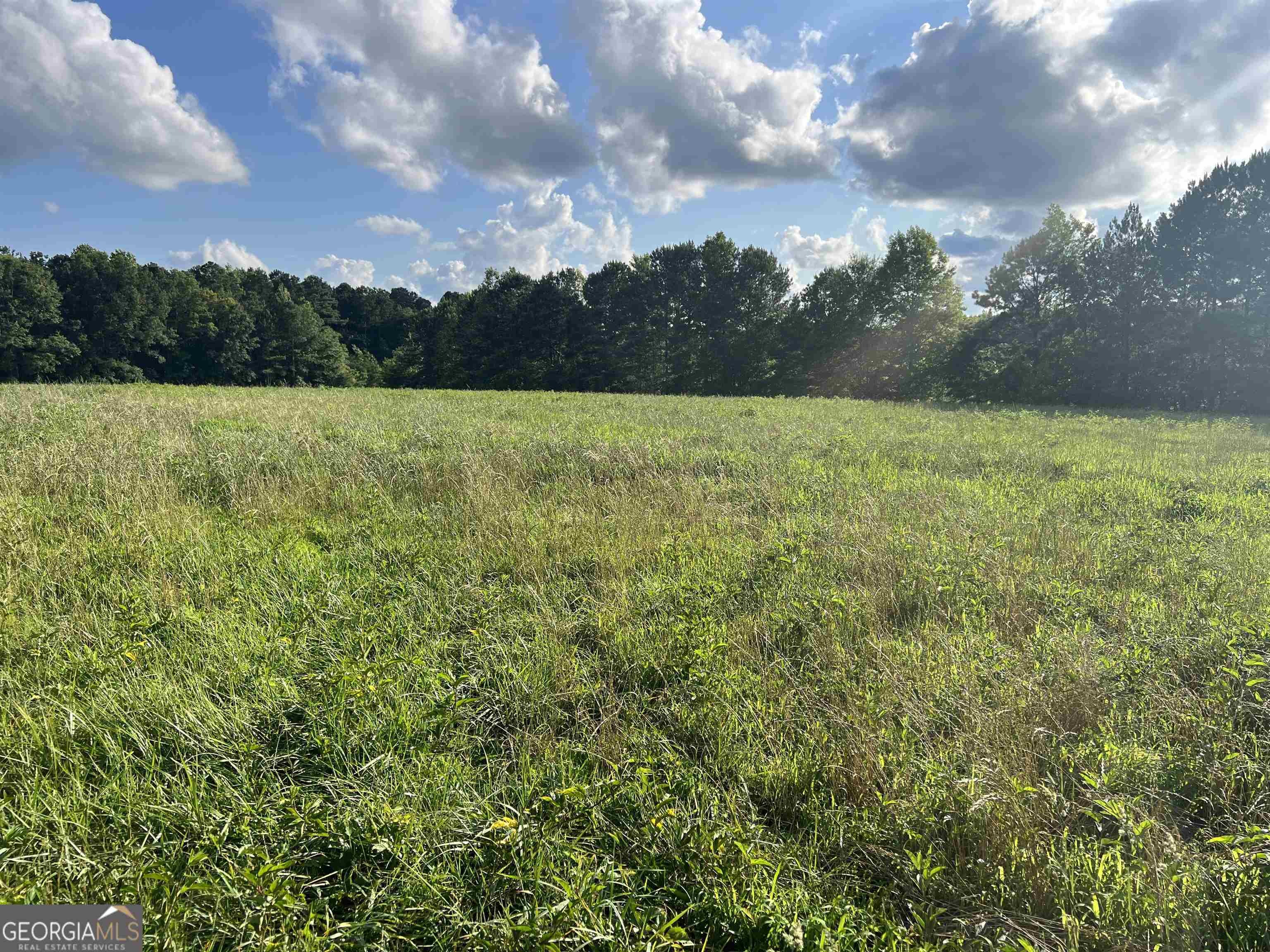 0 Lowell Road Carrollton, GA 30116 - Photo 3 of 5 a view of a yard