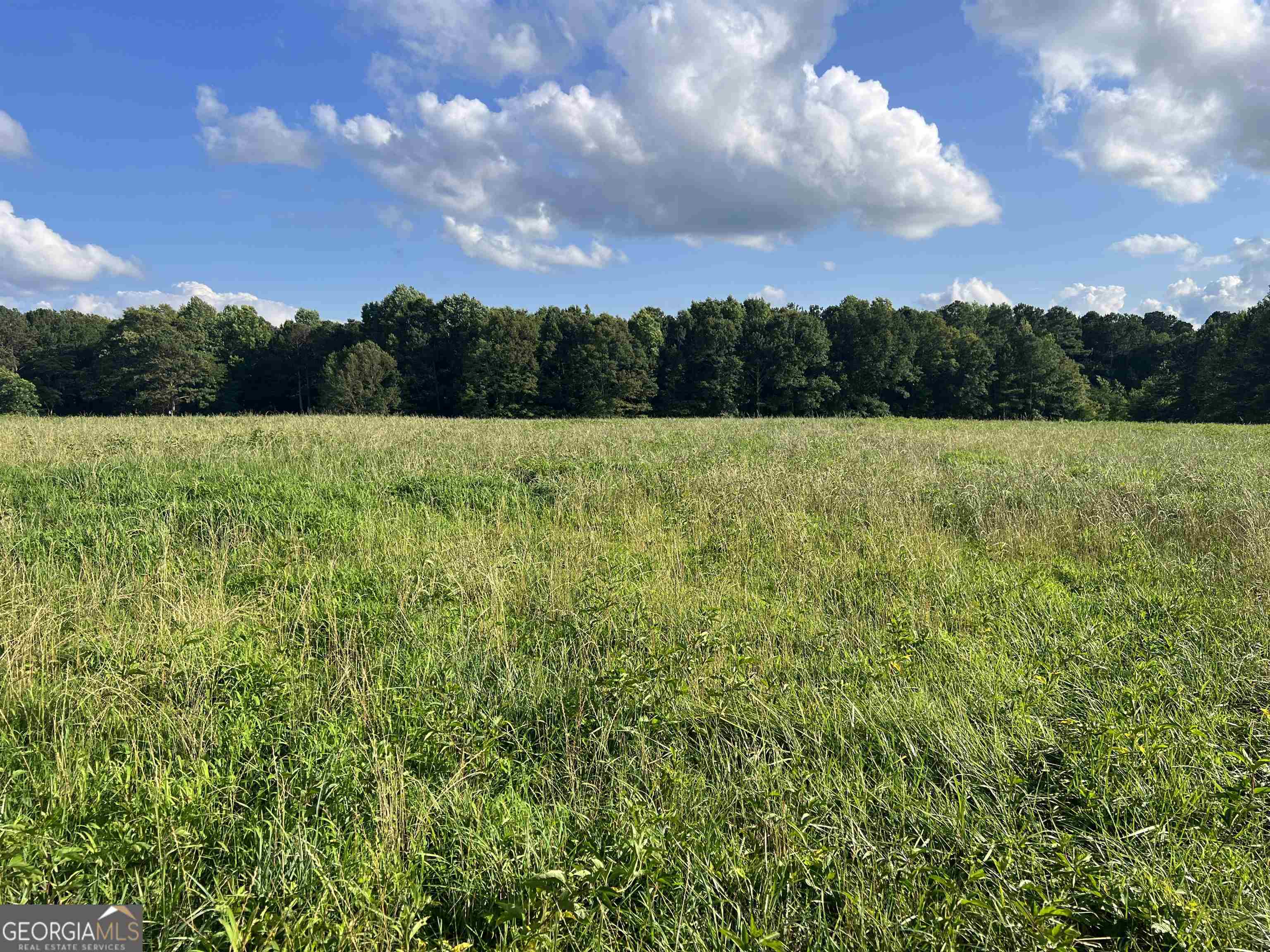 0 Lowell Road Carrollton, GA 30116 - Photo 4 of 5 a view of outdoor space and yard