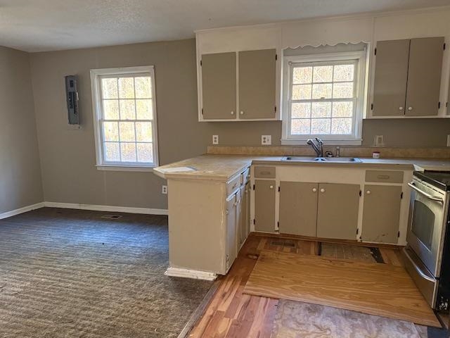 40 Sampson Road Hemingway, SC 29554 - Photo 11 of 12 Kitchen featuring light countertops, stainless steel range, a peninsula, light wood-style floors, and plenty of natural light