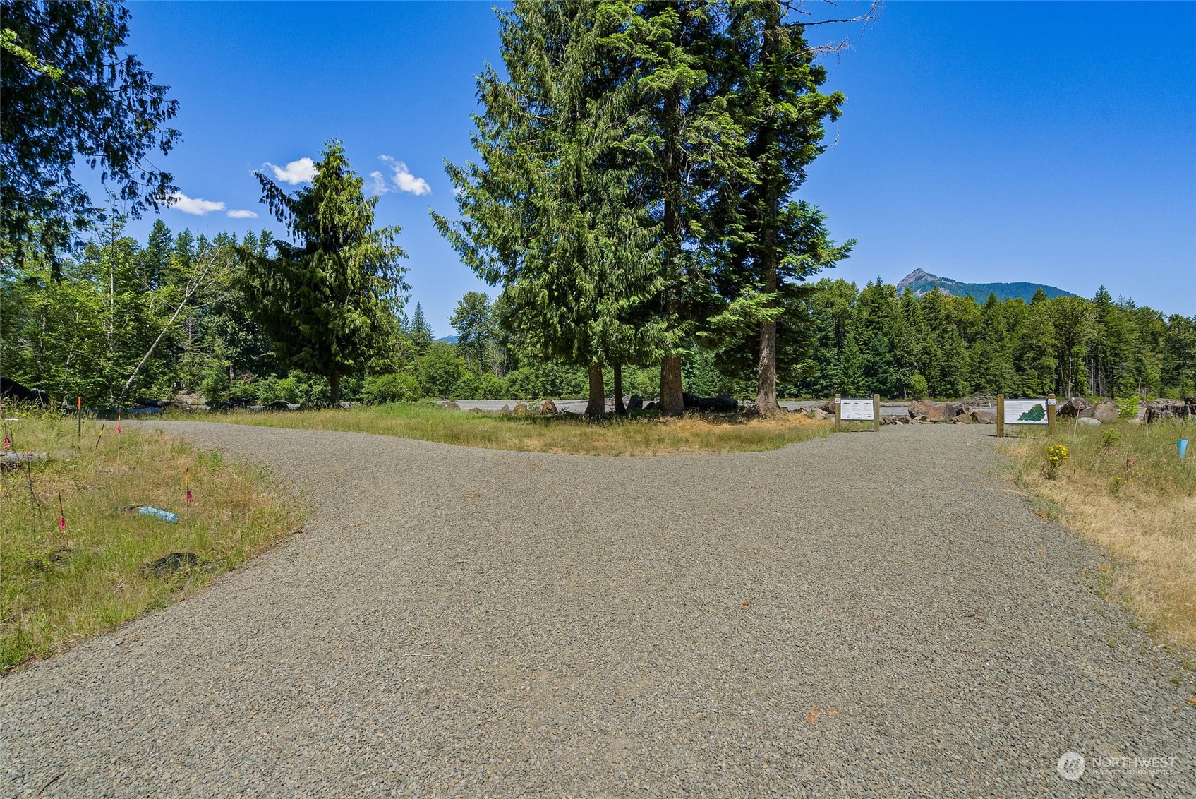 136 Bugle Lane Packwood, WA 98361 - Photo 14 of 32 a view of a field with trees in background