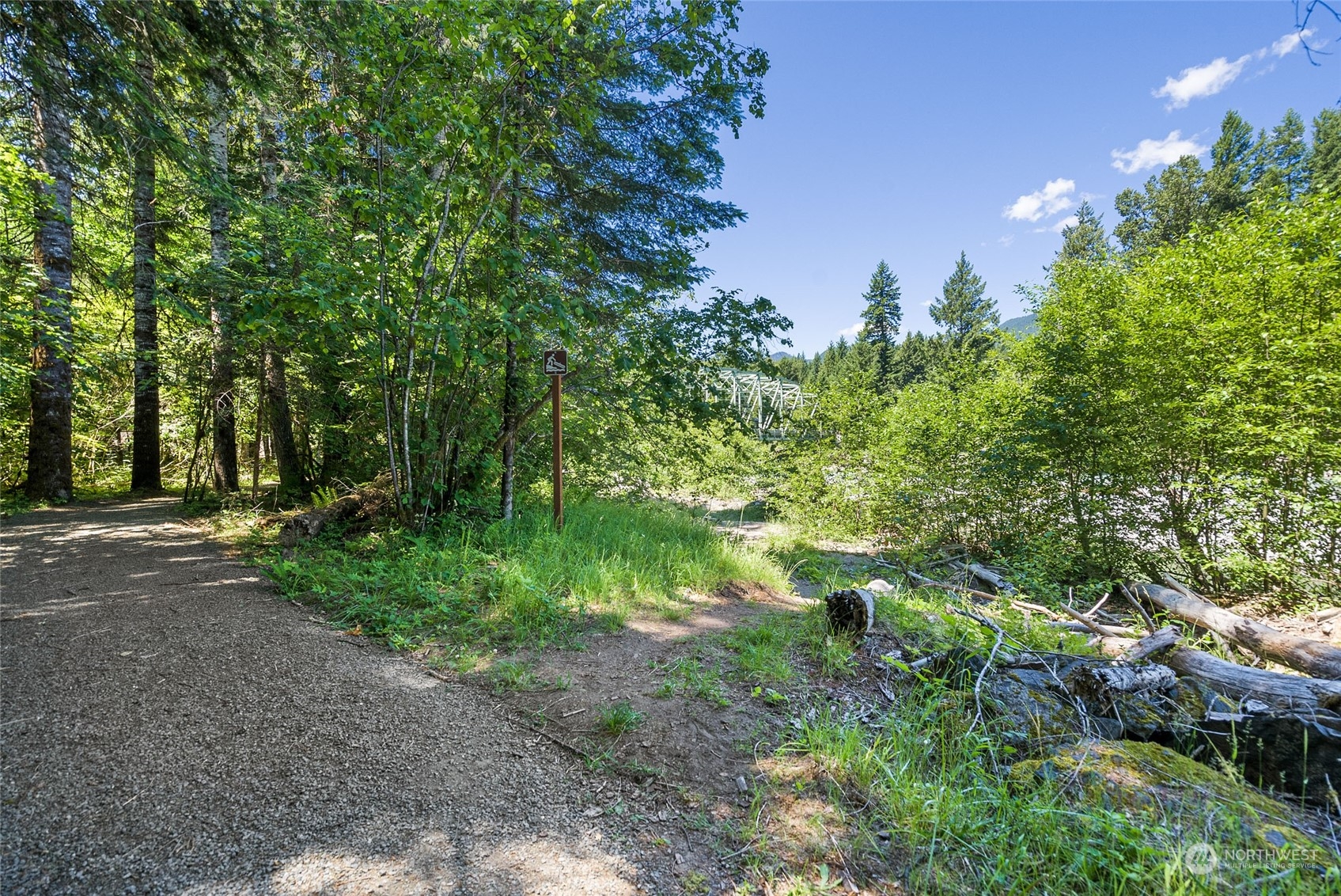 136 Bugle Lane Packwood, WA 98361 - Photo 20 of 32 a backyard of a house with lots of green space