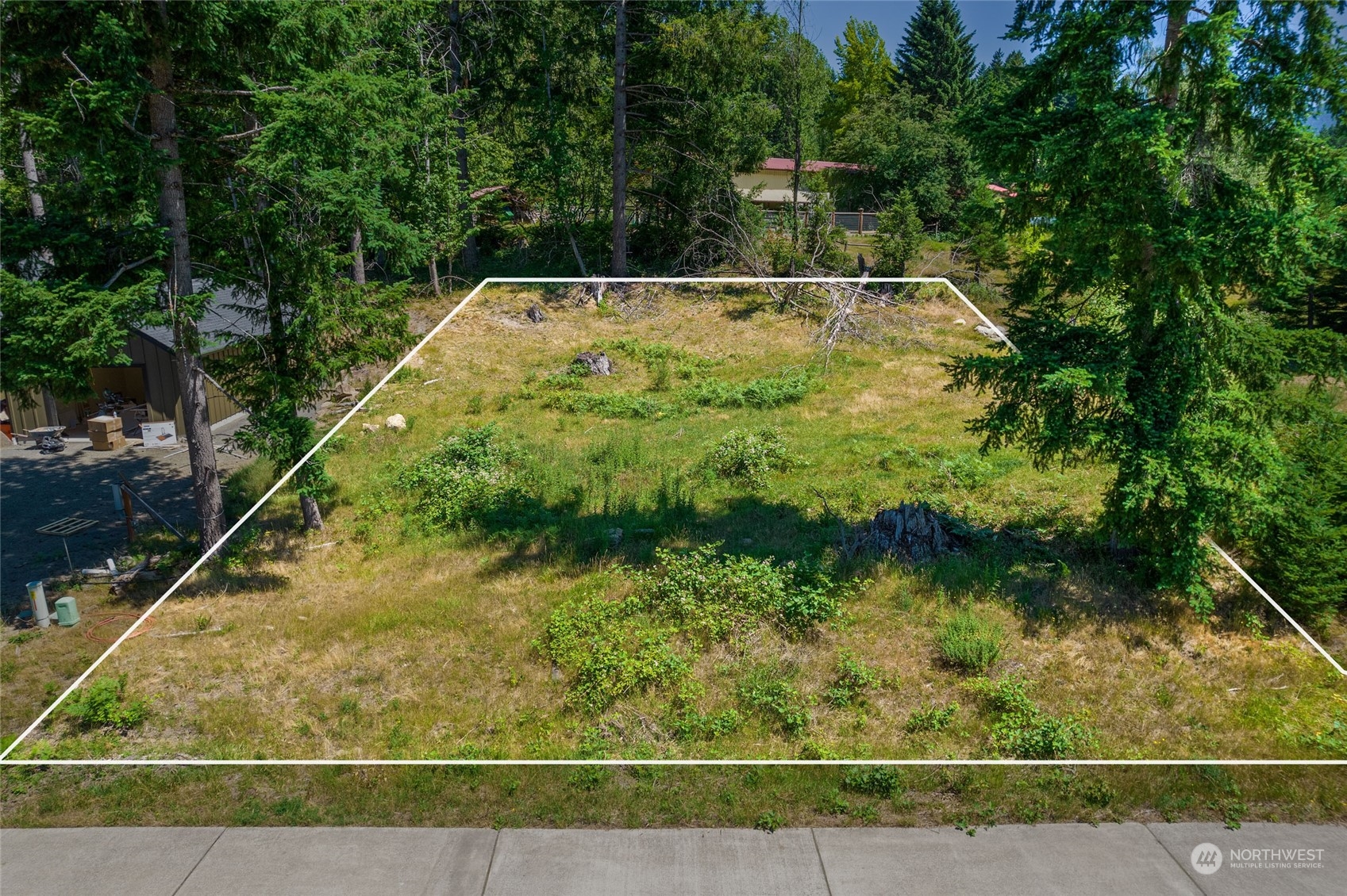 136 Bugle Lane Packwood, WA 98361 - Photo 3 of 32 a view of a backyard