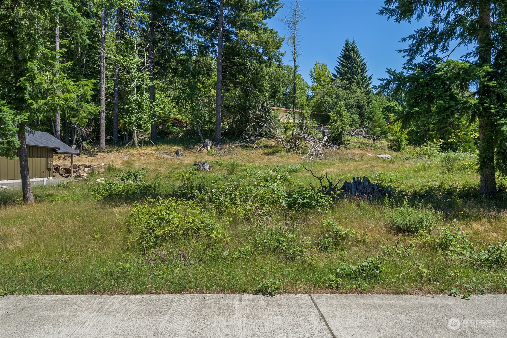 136 Bugle Lane Packwood, WA 98361 - Photo 7 of 32 a backyard of a house with lots of green space