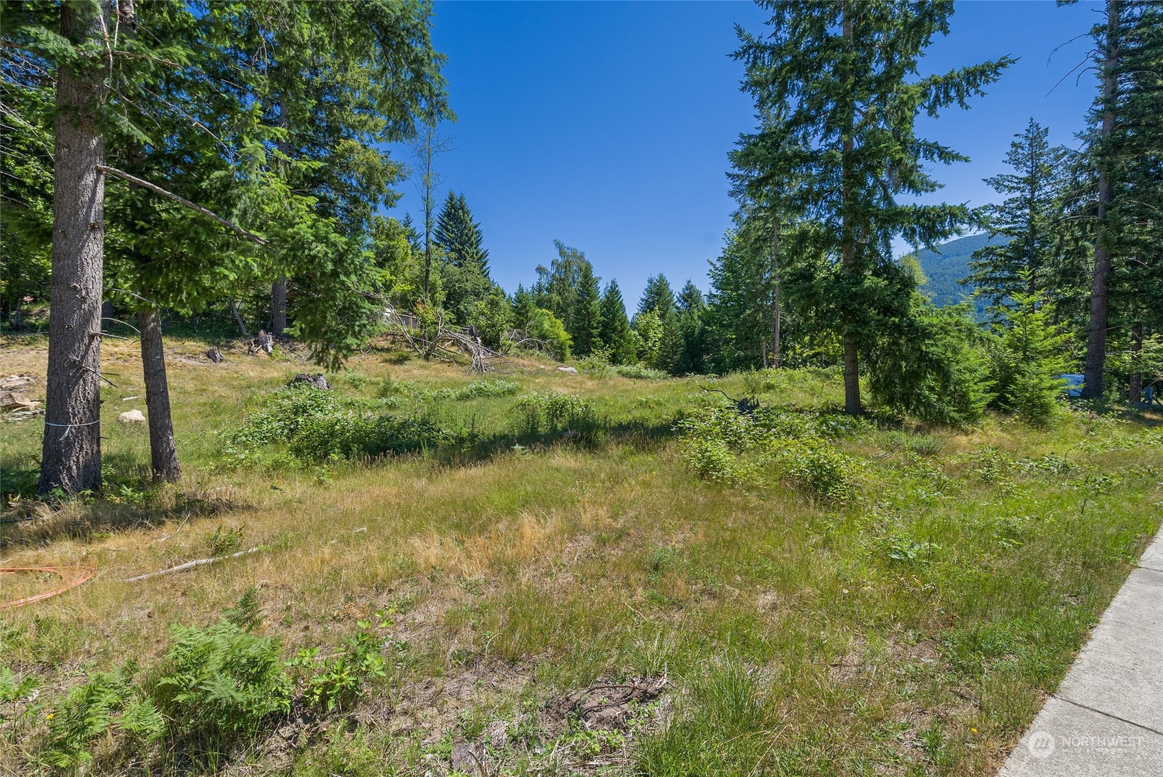 136 Bugle Lane Packwood, WA 98361 - Photo 8 of 32 a view of a lush green space