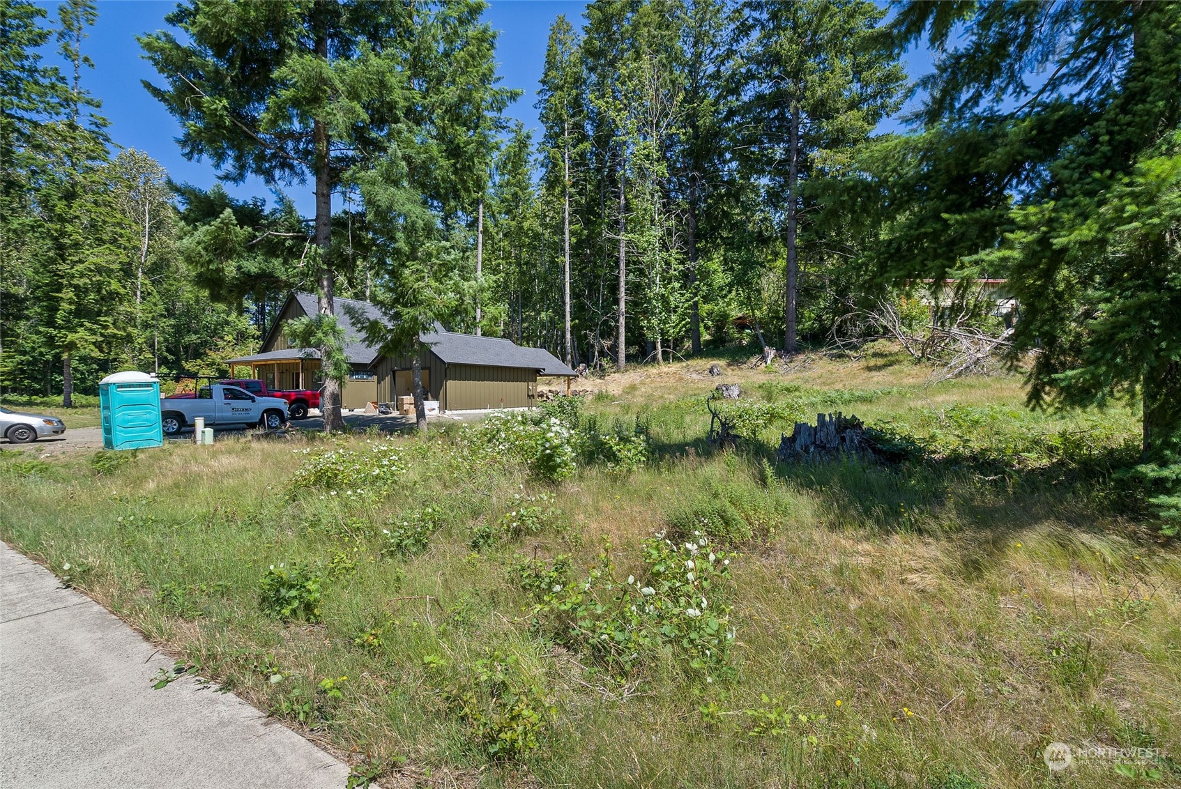 136 Bugle Lane Packwood, WA 98361 - Photo 9 of 32 a view of a garden with swimming pool