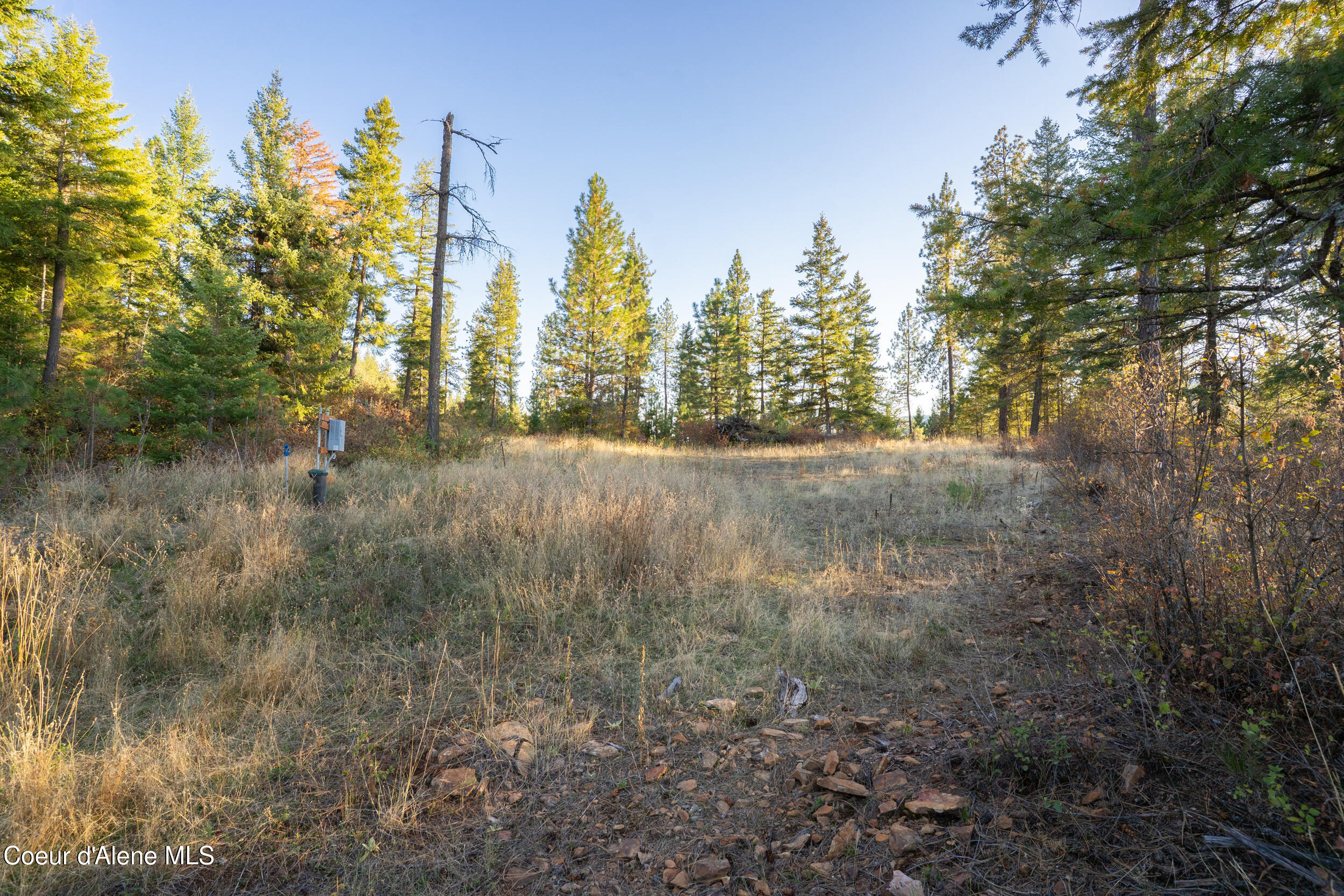1-2 Moose Mtn Road Priest River, ID 83856 - Photo 6 of 53 41__dsc3830