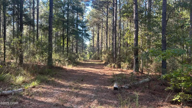 $589,900 | 147 Hwy Laurel Hill, Laurel Hill, FL 32567