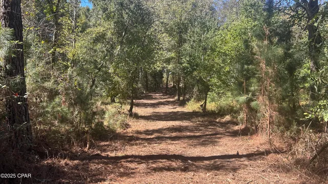 $589,900 | 147 Hwy Laurel Hill, Laurel Hill, FL 32567