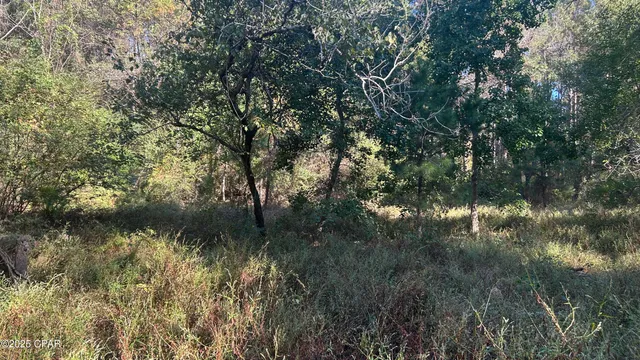 $589,900 | 147 Hwy Laurel Hill, Laurel Hill, FL 32567