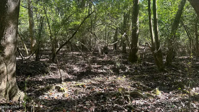 $589,900 | 147 Hwy Laurel Hill, Laurel Hill, FL 32567