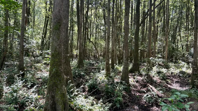 $589,900 | 147 Hwy Laurel Hill, Laurel Hill, FL 32567