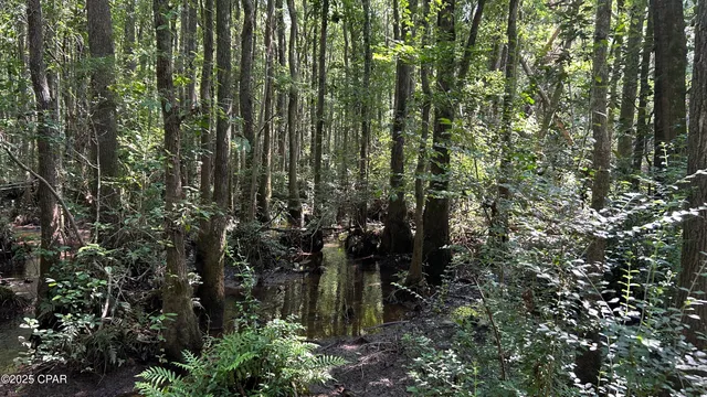 $589,900 | 147 Hwy Laurel Hill, Laurel Hill, FL 32567