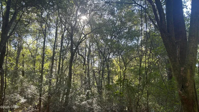 $589,900 | 147 Hwy Laurel Hill, Laurel Hill, FL 32567