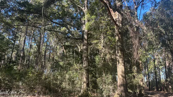 $544,900 | 147 Hwy Laurel Hill, Laurel Hill, FL 32567