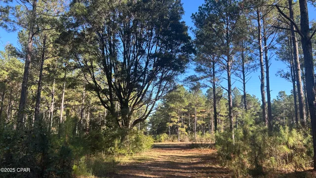 $589,900 | 147 Hwy Laurel Hill, Laurel Hill, FL 32567