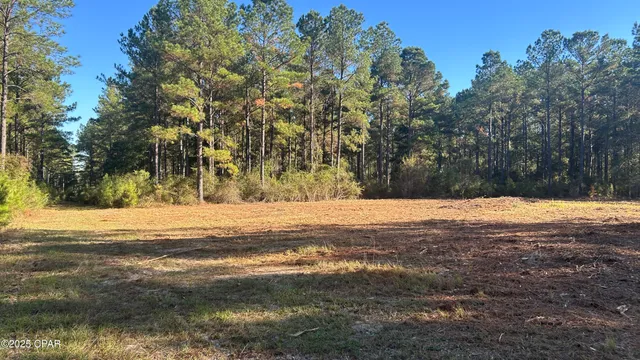 $589,900 | 147 Hwy Laurel Hill, Laurel Hill, FL 32567