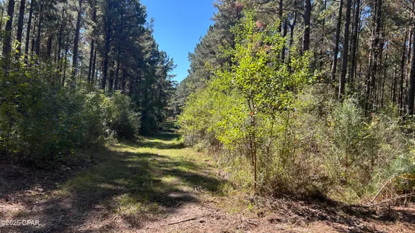 $544,900 | 147 Hwy Laurel Hill, Laurel Hill, FL 32567