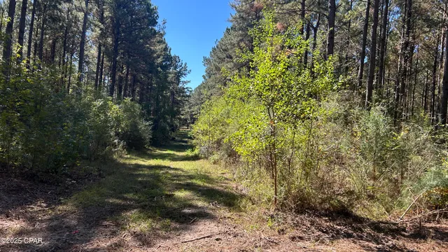 $589,900 | 147 Hwy Laurel Hill, Laurel Hill, FL 32567