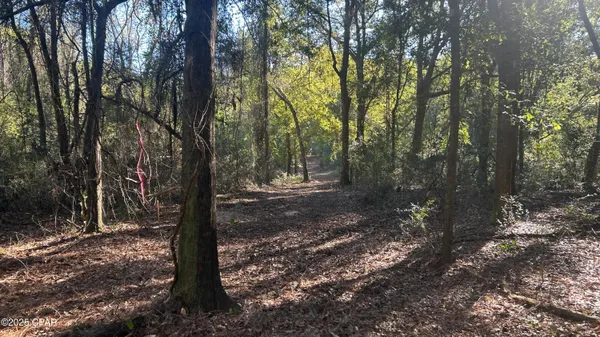 $544,900 | 147 Hwy Laurel Hill, Laurel Hill, FL 32567