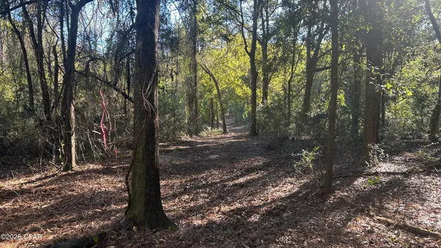 $589,900 | 147 Hwy Laurel Hill, Laurel Hill, FL 32567