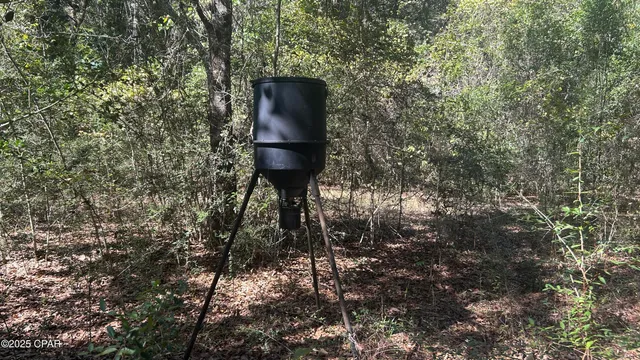 $589,900 | 147 Hwy Laurel Hill, Laurel Hill, FL 32567