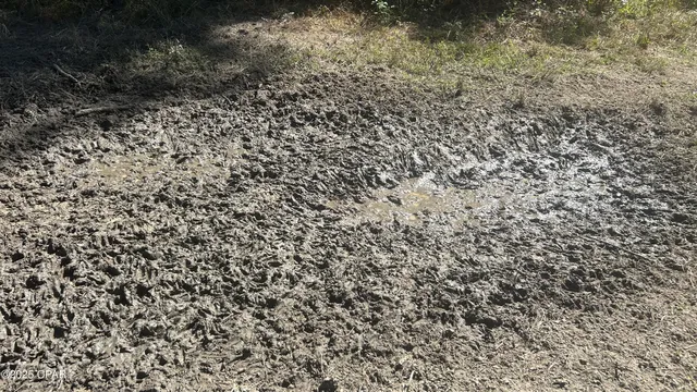 $589,900 | 147 Hwy Laurel Hill, Laurel Hill, FL 32567