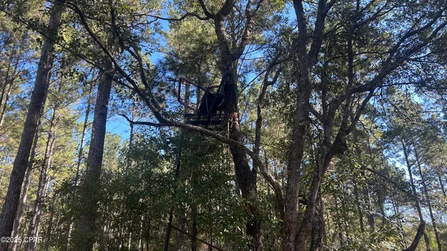 $589,900 | 147 Hwy Laurel Hill, Laurel Hill, FL 32567