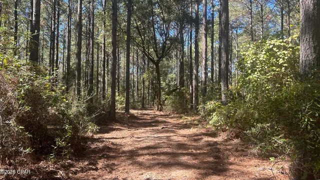 $589,900 | 147 Hwy Laurel Hill, Laurel Hill, FL 32567