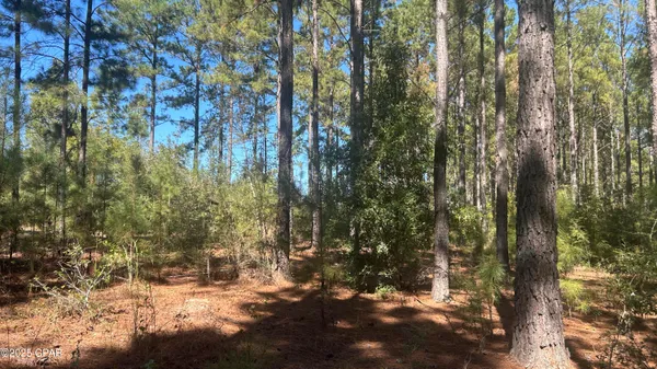 $544,900 | 147 Hwy Laurel Hill, Laurel Hill, FL 32567