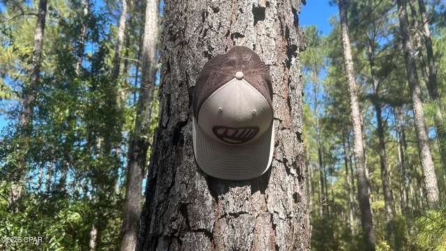 $589,900 | 147 Hwy Laurel Hill, Laurel Hill, FL 32567