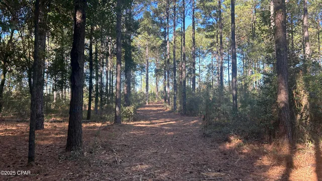 $589,900 | 147 Hwy Laurel Hill, Laurel Hill, FL 32567