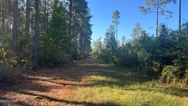 $589,900 | 147 Hwy Laurel Hill, Laurel Hill, FL 32567