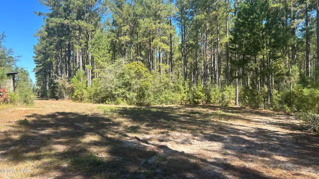 $589,900 | 147 Hwy Laurel Hill, Laurel Hill, FL 32567