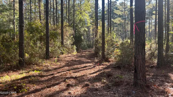 $544,900 | 147 Hwy Laurel Hill, Laurel Hill, FL 32567