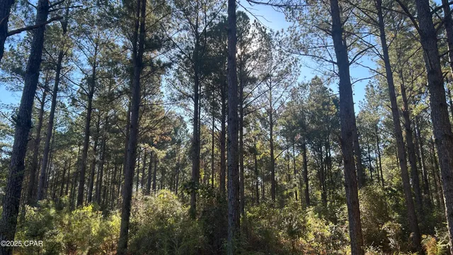 $589,900 | 147 Hwy Laurel Hill, Laurel Hill, FL 32567