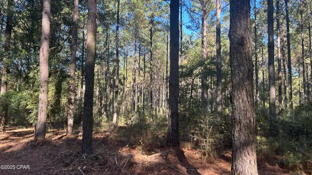 $589,900 | 147 Hwy Laurel Hill, Laurel Hill, FL 32567