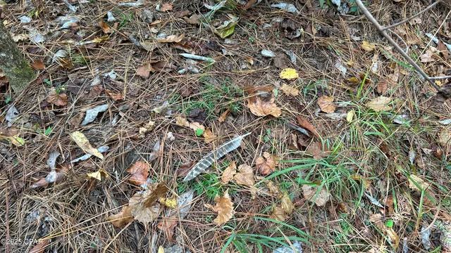 $589,900 | 147 Hwy Laurel Hill, Laurel Hill, FL 32567